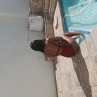 Escort top model girl Evalyn (weight 65 kg, height 165 cm)